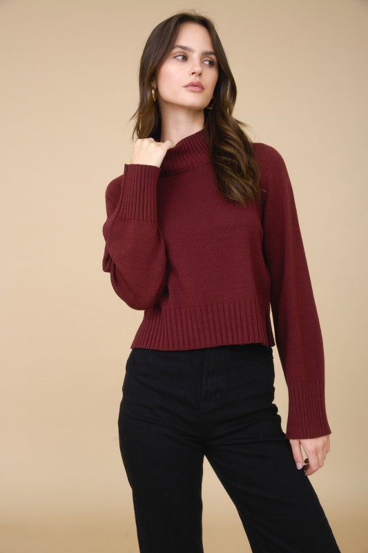 Warm Whispers Burgundy Sweater