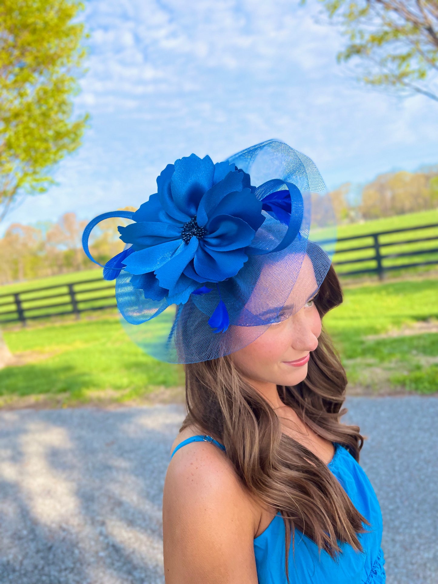 Bluegrass Belle Royal Fascinator