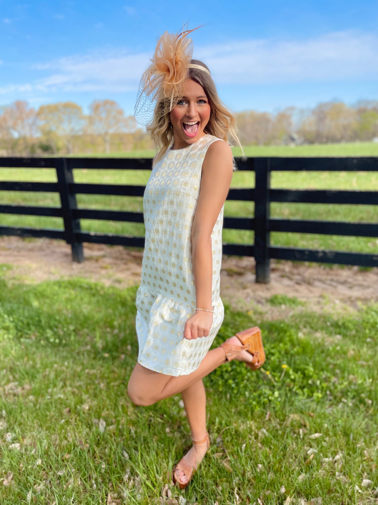 The Picture of Perfection Dress