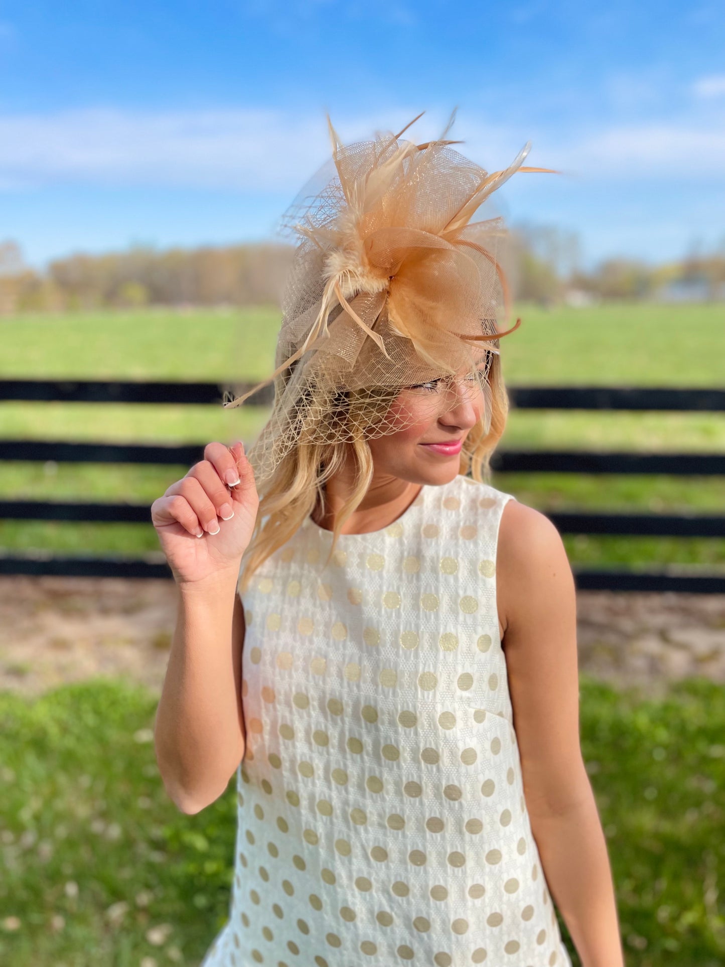 The Picture of Perfection Dress