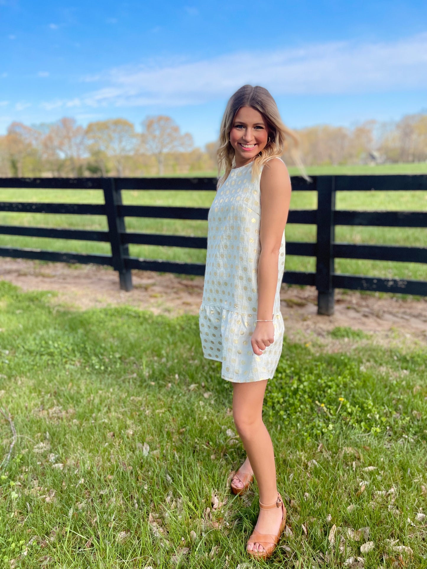 The Picture of Perfection Dress