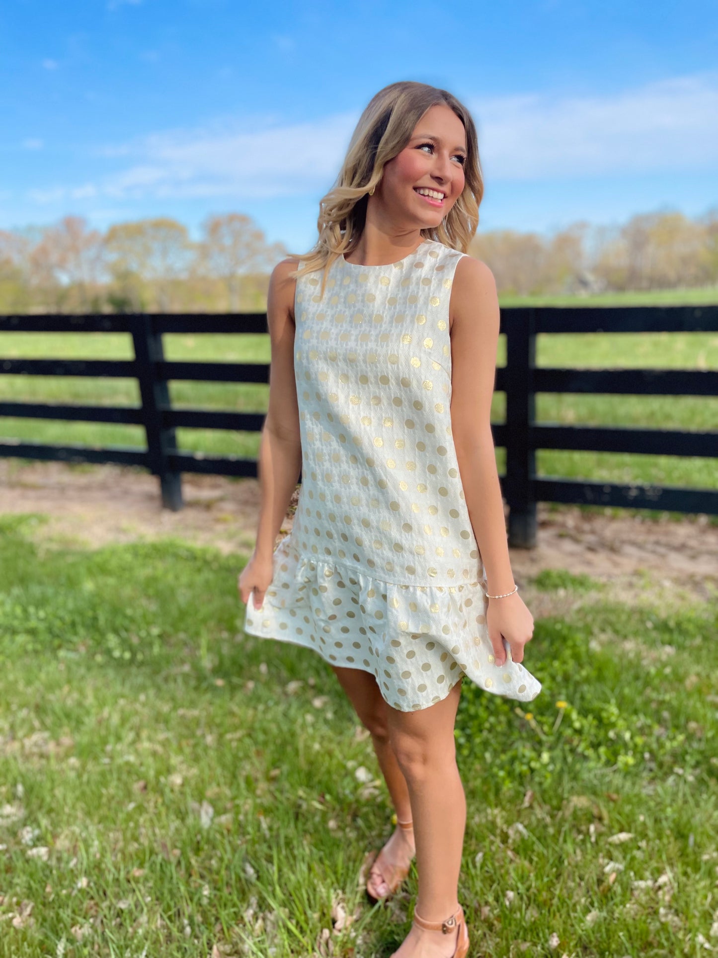 The Picture of Perfection Dress