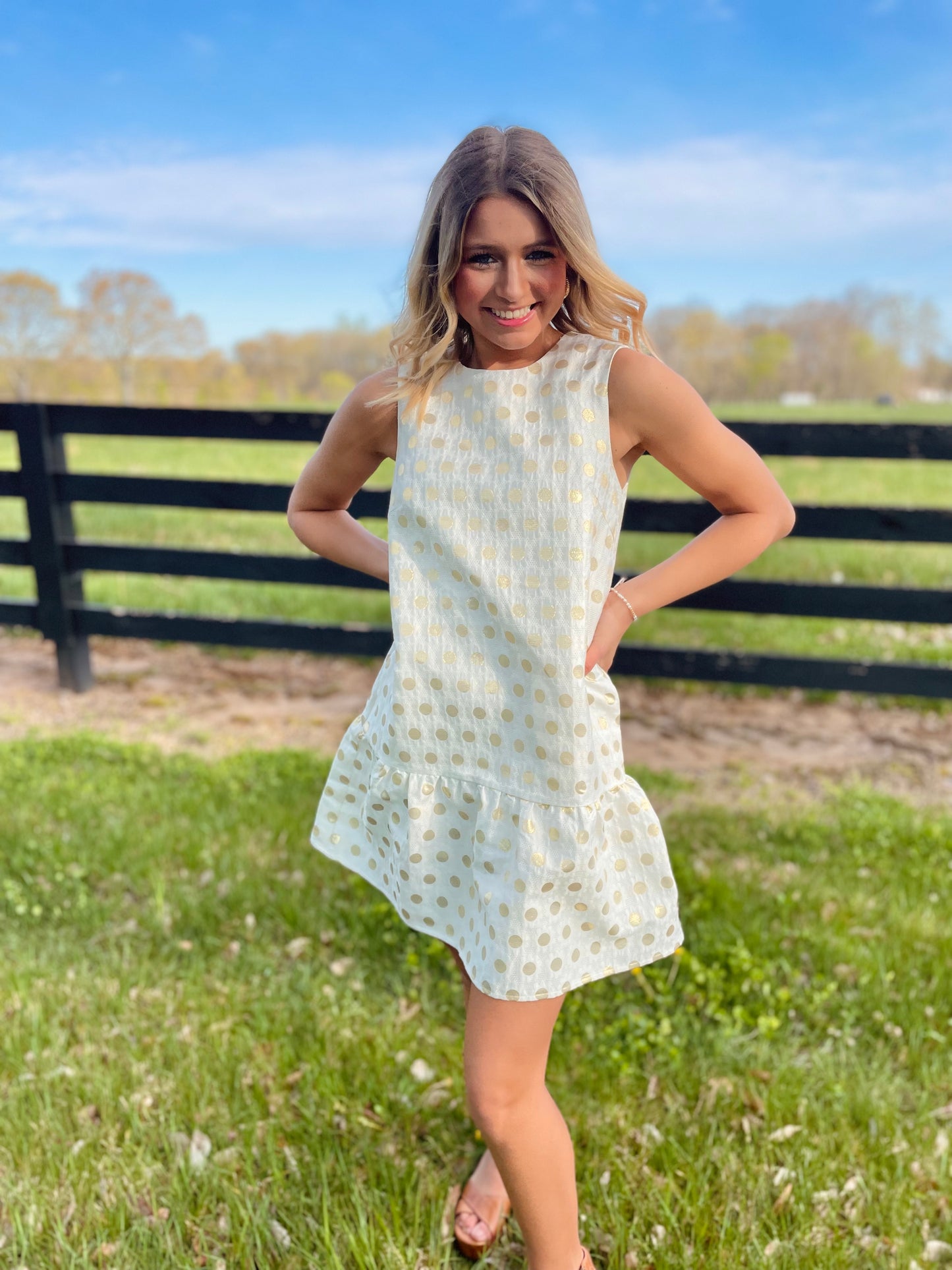 The Picture of Perfection Dress