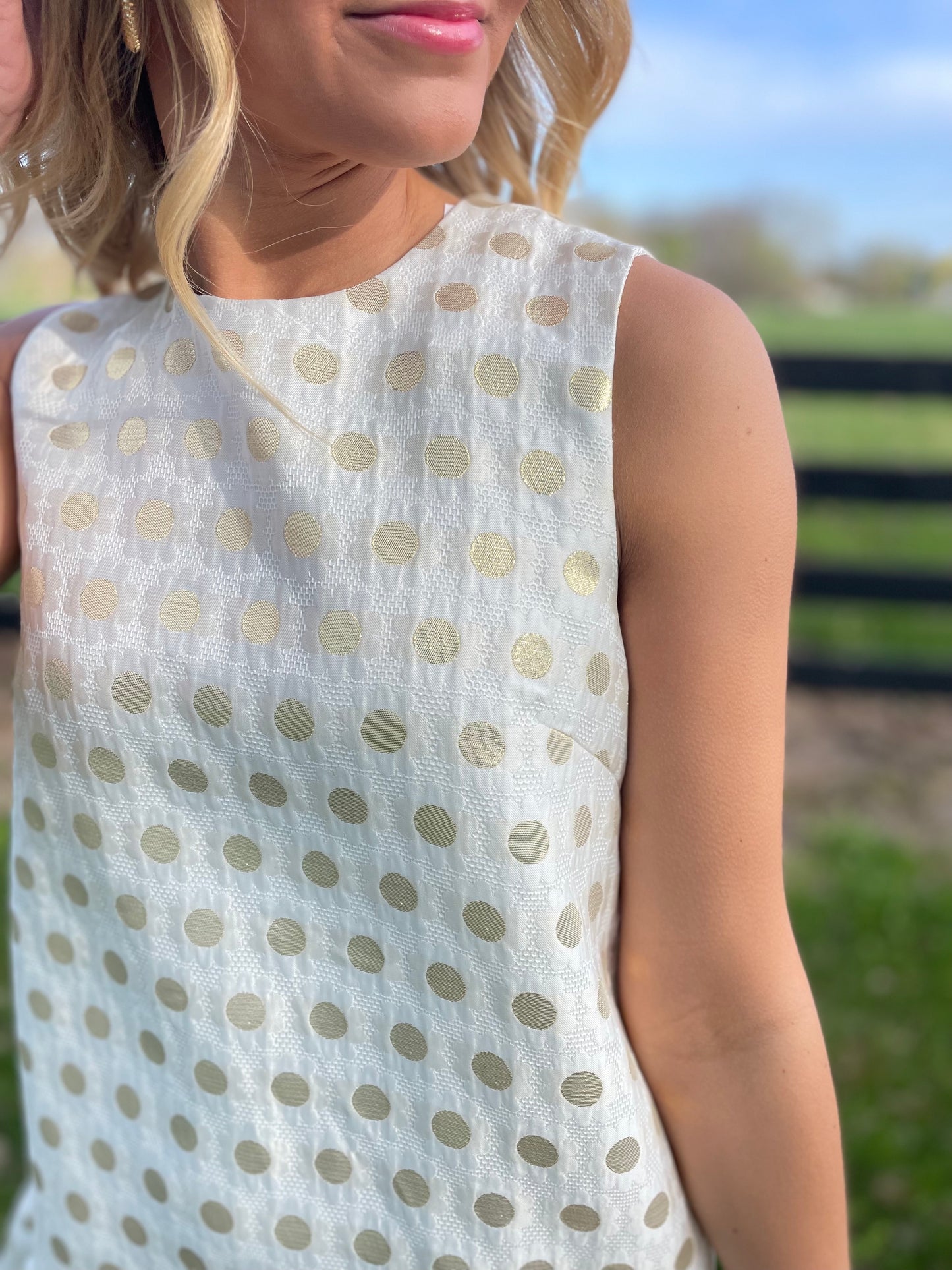 The Picture of Perfection Dress