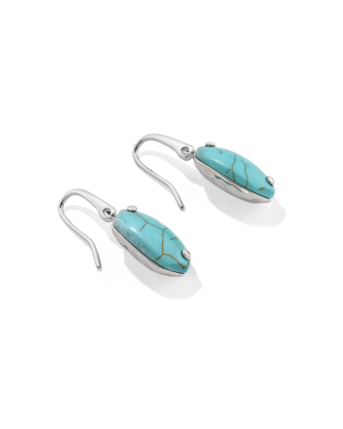 Lee Riveted Rhodium Earring in Variegated Turquoise