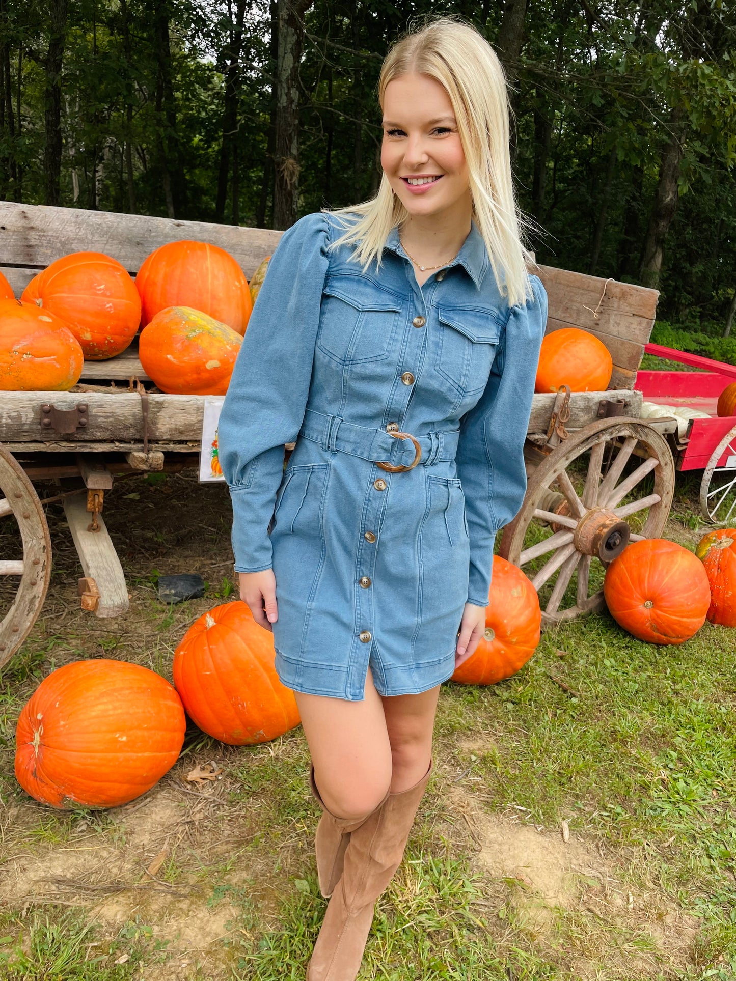 Daydreams To Reality Denim Dress