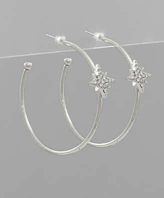 Jumping Through Silver Hoops Earrings
