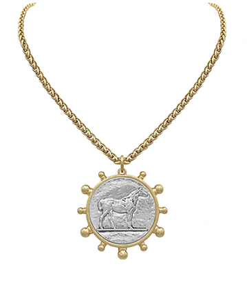 Horse Coin Mixed Metal Necklace