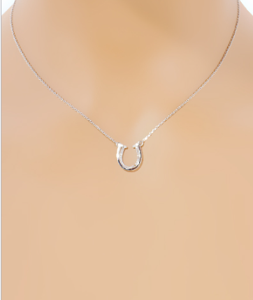 Fortune Loop Silver Necklace