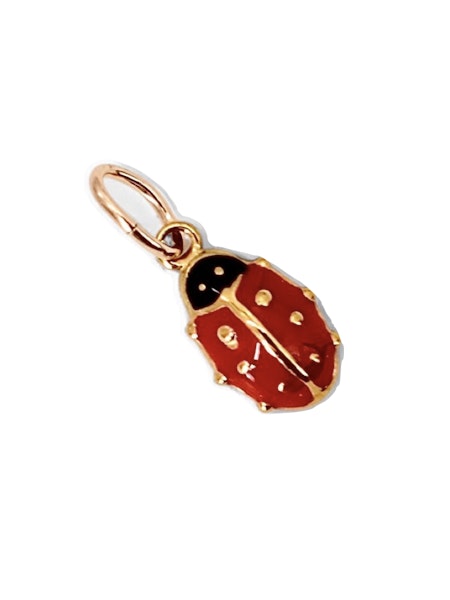 Lady Bug Charm