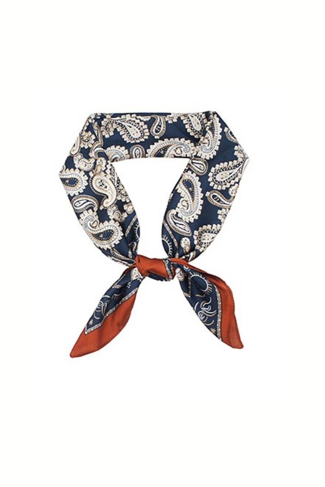 Paisley Border Navy Scarf