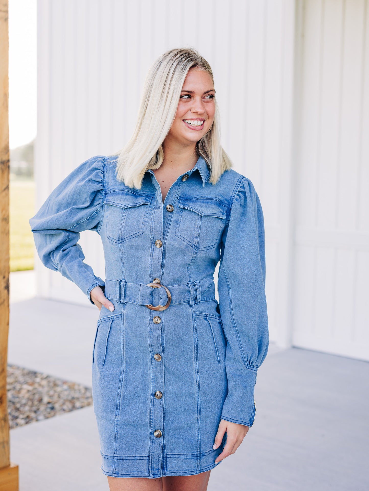 Daydreams To Reality Denim Dress