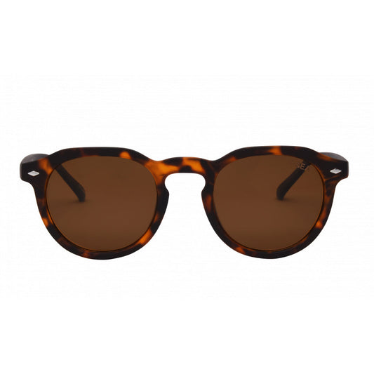 Blair Tort Brown Polarized Sunglasses
