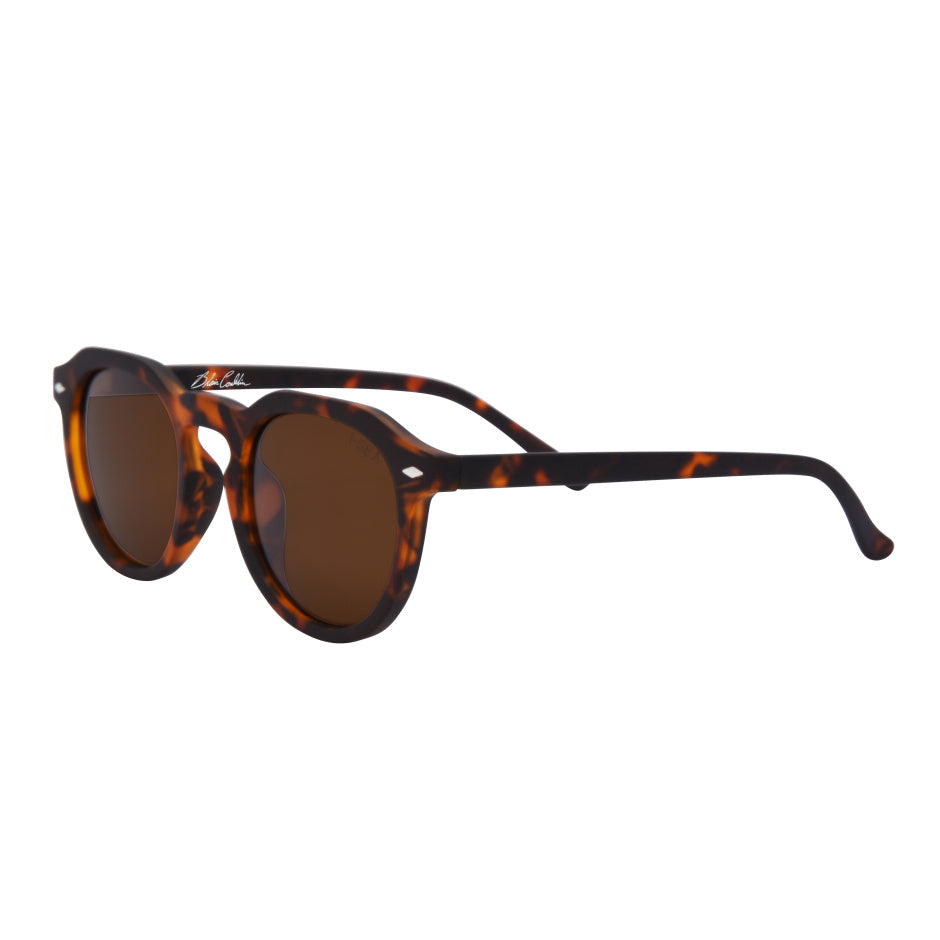 Blair Tort Brown Polarized Sunglasses