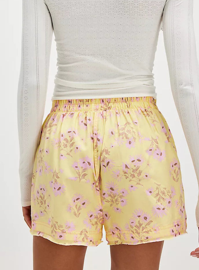 Day To Day Sunflower Combo Boxers Shorts
