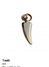 Tooth Charm