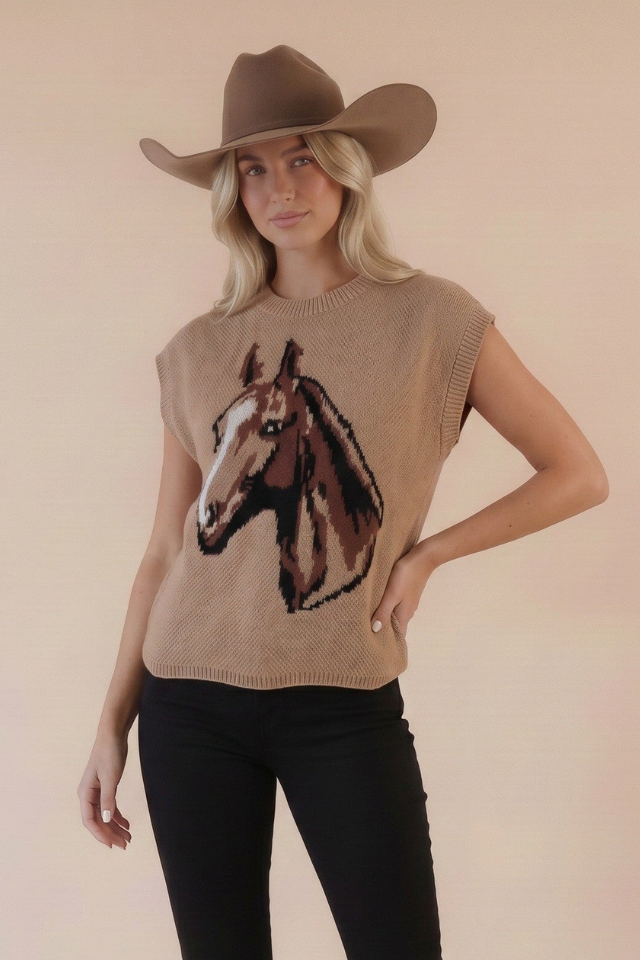 Rustic Spirit Sweater Top
