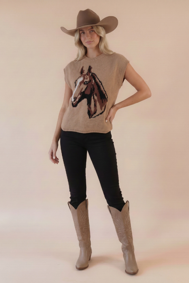 Rustic Spirit Sweater Top