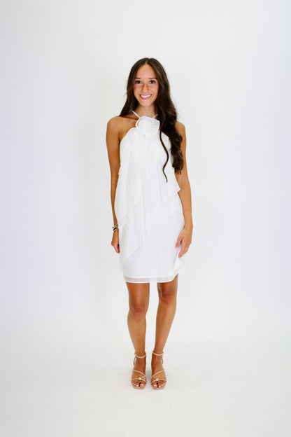 Celebrating Life Dress