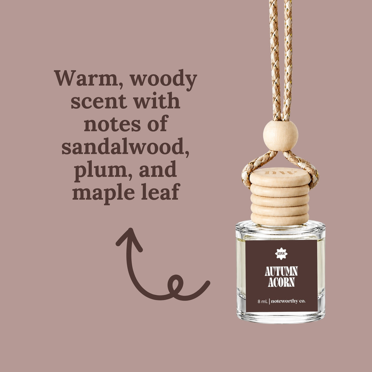 Car Diffusers Autumn Acorn