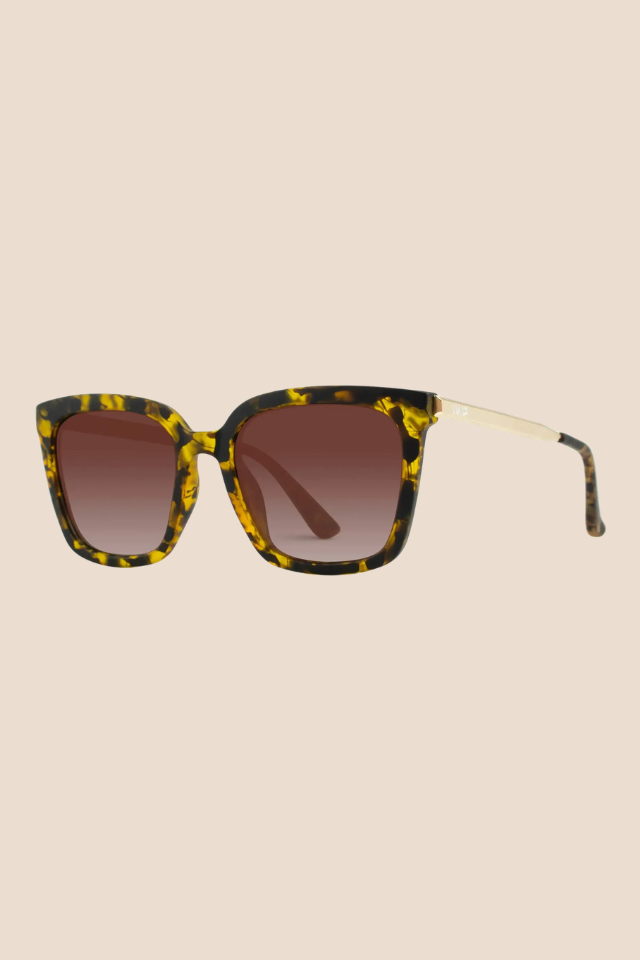 Madison Soft Tortoise / Gradient Brown Lens Polarized Sunglasses