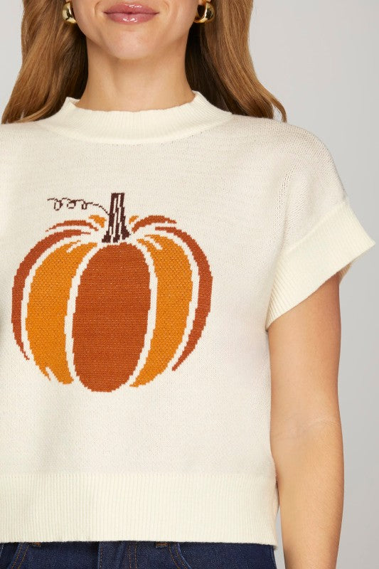 Spiced Pumpkin Sweater Top