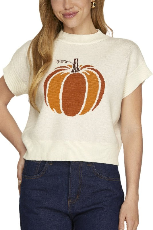 Spiced Pumpkin Sweater Top