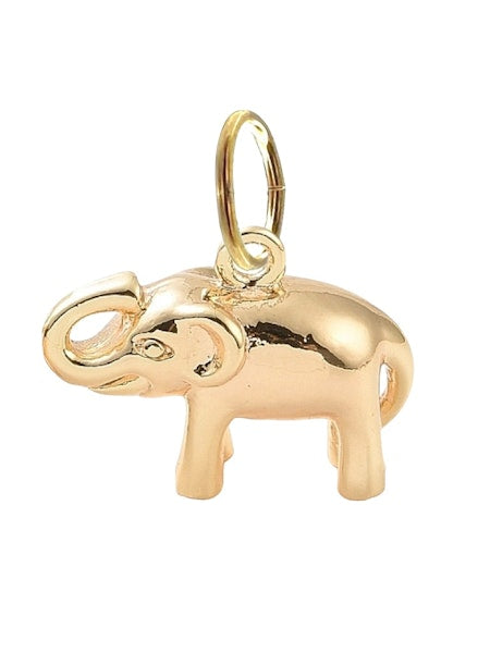 Elephant Charm