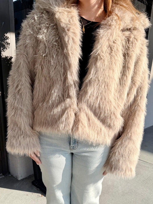 The Hollywood Jacket