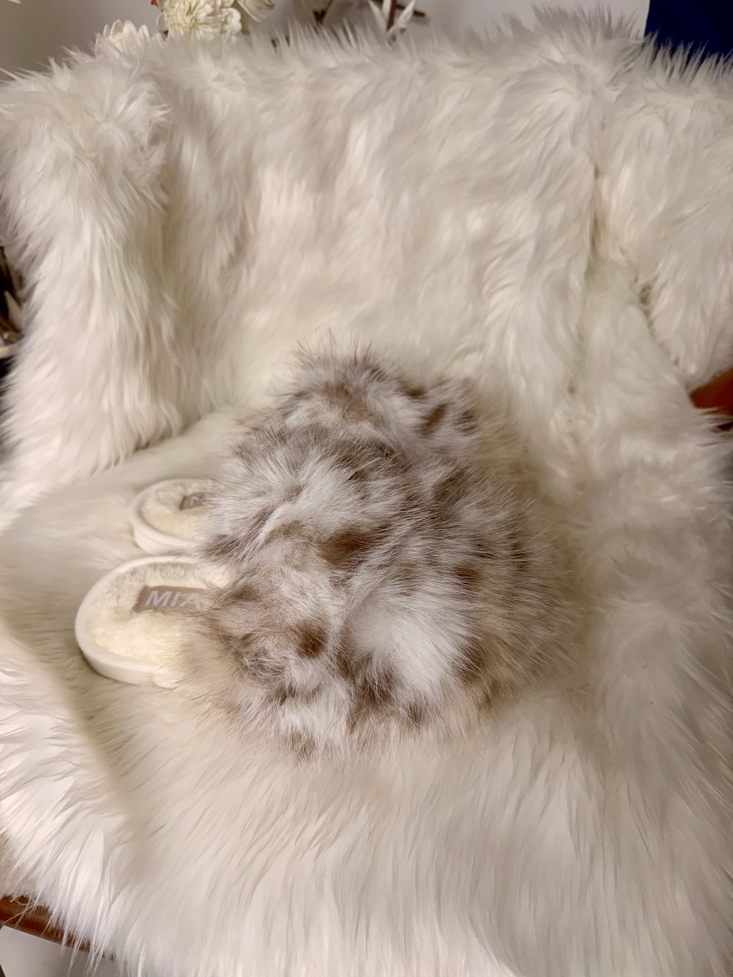 The Cupcake Snow Leopard Slipper