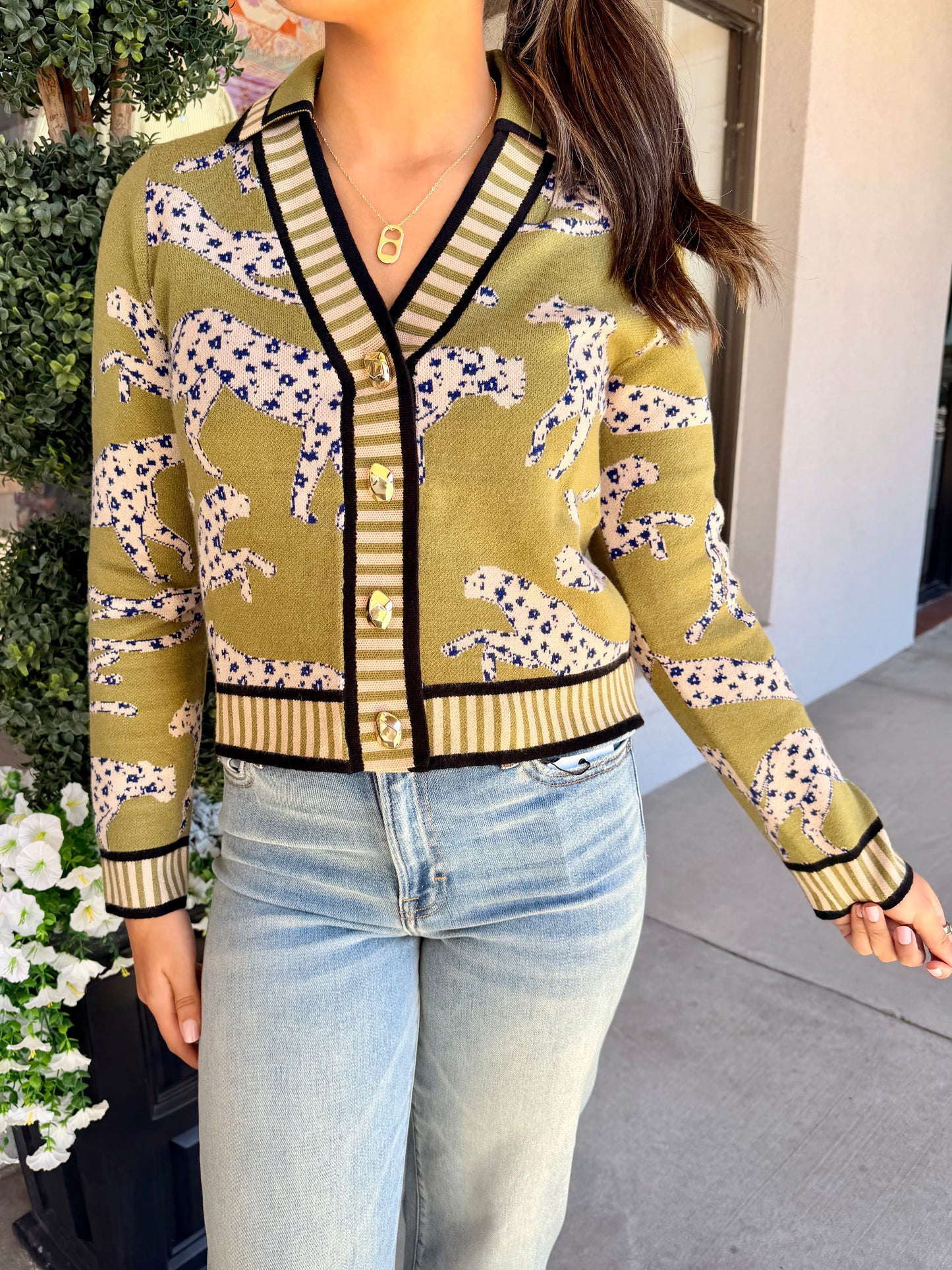 Cheetah Charm Cardigan
