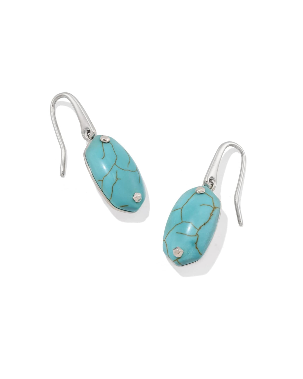 Lee Riveted Rhodium Earring in Variegated Turquoise