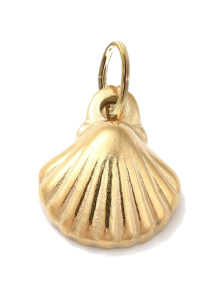 Shell Charm