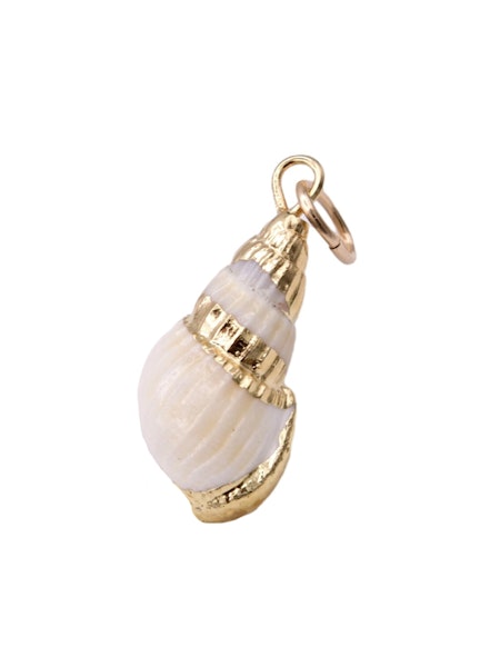 Sea Shell Rim Charm