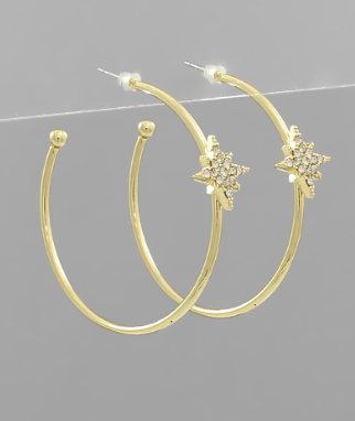 Jumping Through Gold Hoops Earrings