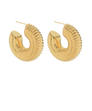 Modern Rounds Gold Hoops