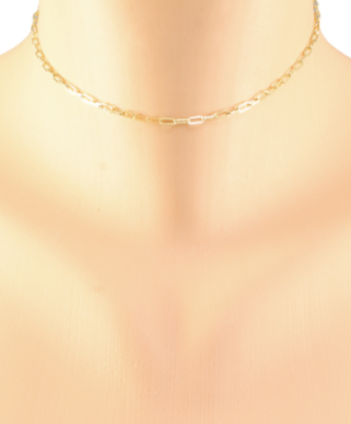 Subtle Chic Choker Necklace