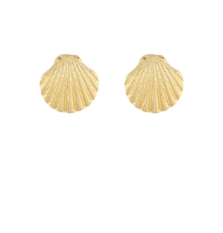 Clam Shell Stud Earrings