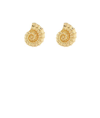 Spiral Shell Stud Earrings