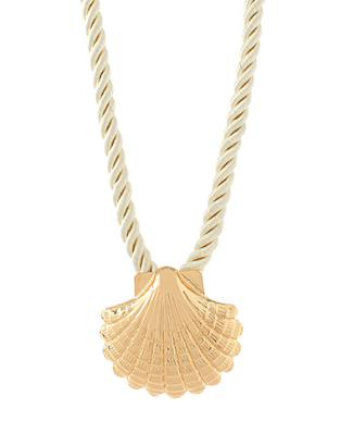 Shell Choker Necklace
