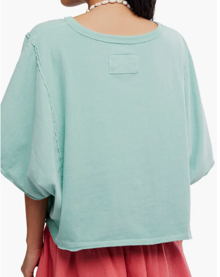 Next Level Wasabi Sauce Tee