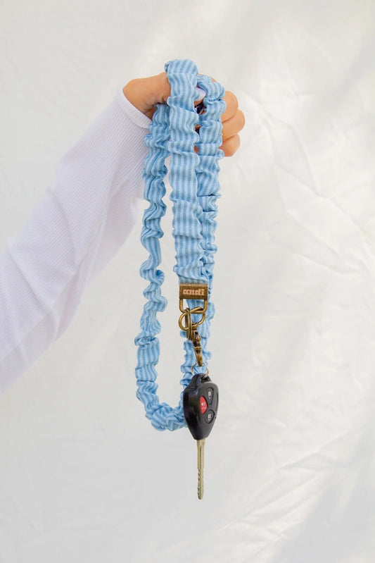 Blue Striped Lanyard