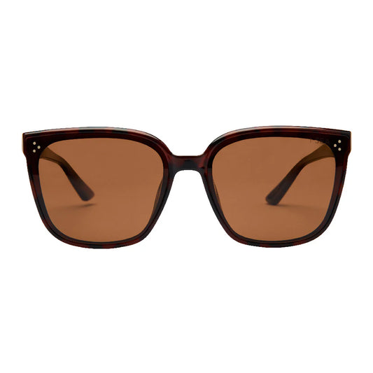 Madi Tort Brown Polarized Sunglasses